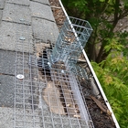 Mouse NEATBEC
